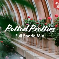 Shrubs Border Plants Potted Pretties Full Shade Mix