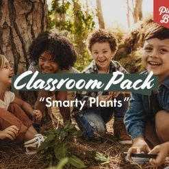 Indoor Garden The Teachers Classroom Houseplant Pack