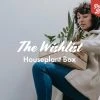 Indoor Garden The Houseplant ???? Wishlist Box Air Purifying