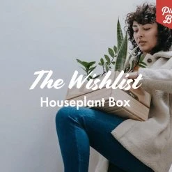 Indoor Garden The Houseplant ???? Wishlist Box Air Purifying