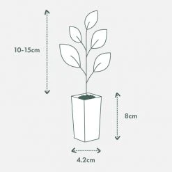 Shrubs Outdoor Assorted Hanging Plants Plant Packs