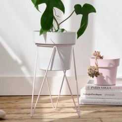 Bendo Plant Stakes & Stands 'PLANT' Indoor Plant Stand & Medium Pot Bundle