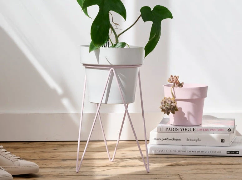 Bendo Plant Stakes & Stands 'PLANT' Indoor Plant Stand & Medium Pot Bundle 3 Bendo Plant Stakes & Stands 'PLANT' Indoor Plant Stand & Medium Pot Bundle