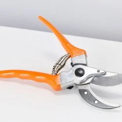 Outdoor Accessories Burgon & Ball RHS Bypass Secateur