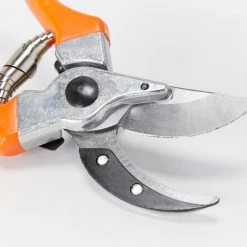 Outdoor Accessories Burgon & Ball RHS Bypass Secateur