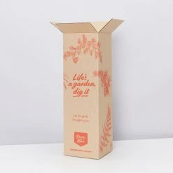 Pot + Plant Gift Box Cacti & Succulents The Plant Killers Gift Box - ZZ Plant