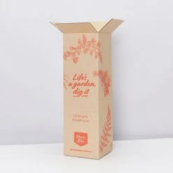 Pot + Plant Gift Box Aglaonema Thai Snowflake - Pot + Plant + Soil