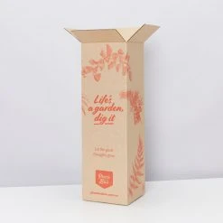 Pot + Plant Gift Box Philodendron Brasil - Pot + Plant + Soil