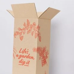 Pot + Plant Gift Box Rhaphidophora Gift Box - Pot + Plant + Soil + Double Arch Stake Easy Care Plants