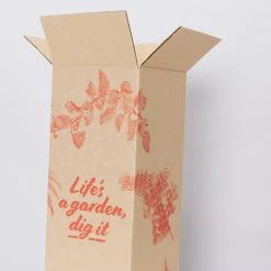 Pot + Plant Gift Box Monstera Taurii +Pot + Plant + Soil + Arch Stakes 13 Pot + Plant Gift Box Monstera Taurii +Pot + Plant + Soil + Arch Stakes