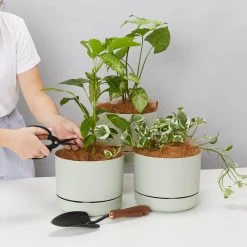 Mr Kitly Pot Clusters - 3 Different Sizes