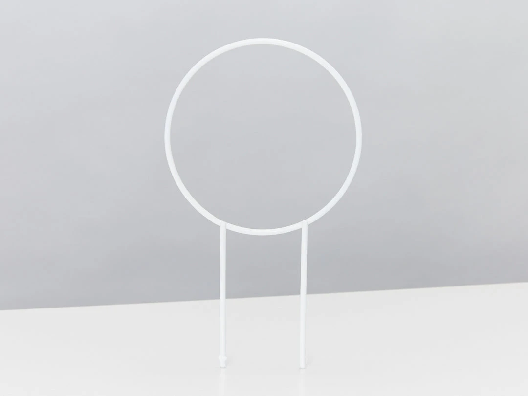 Plants In A Box The Circle-O Plant Stake Climbing Plants 5 Plants In A Box The Circle-O Plant Stake Climbing Plants