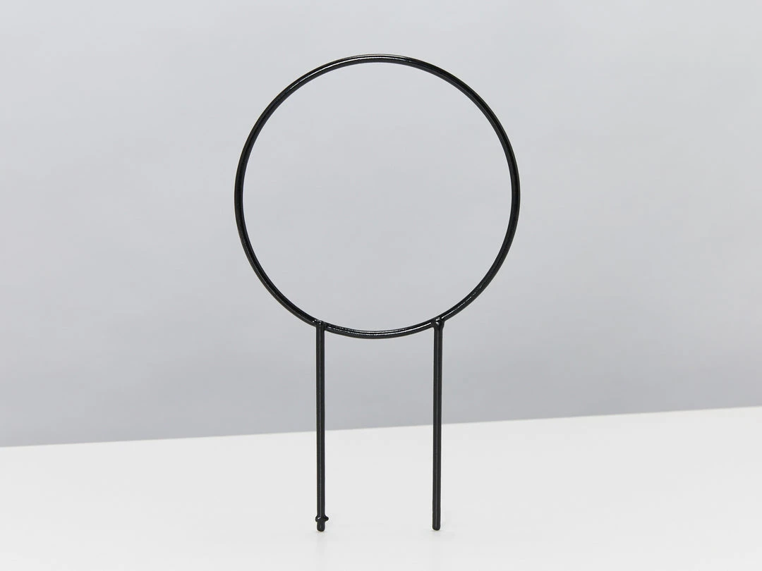 Plants In A Box The Circle-O Plant Stake Climbing Plants 4 Plants In A Box The Circle-O Plant Stake Climbing Plants