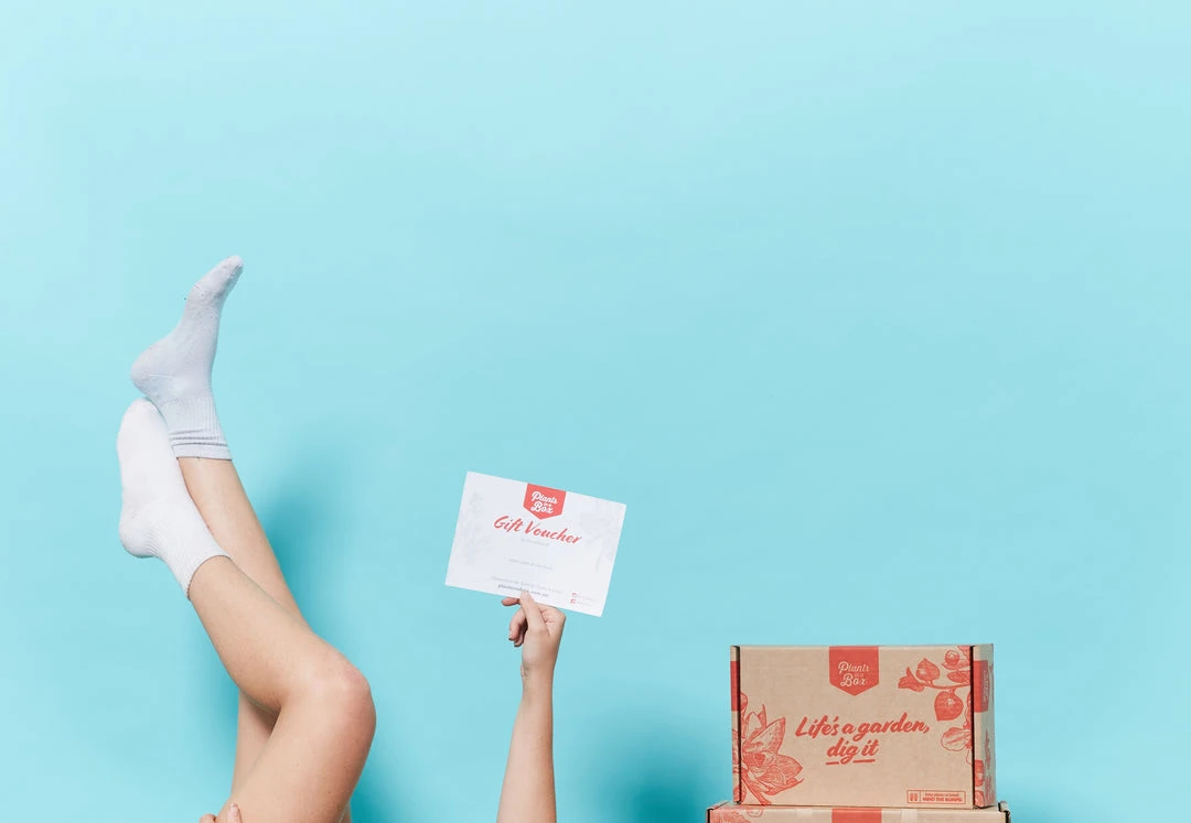 Outlet Plants in a box Store 10 Gifts E - Gift Vouchers
