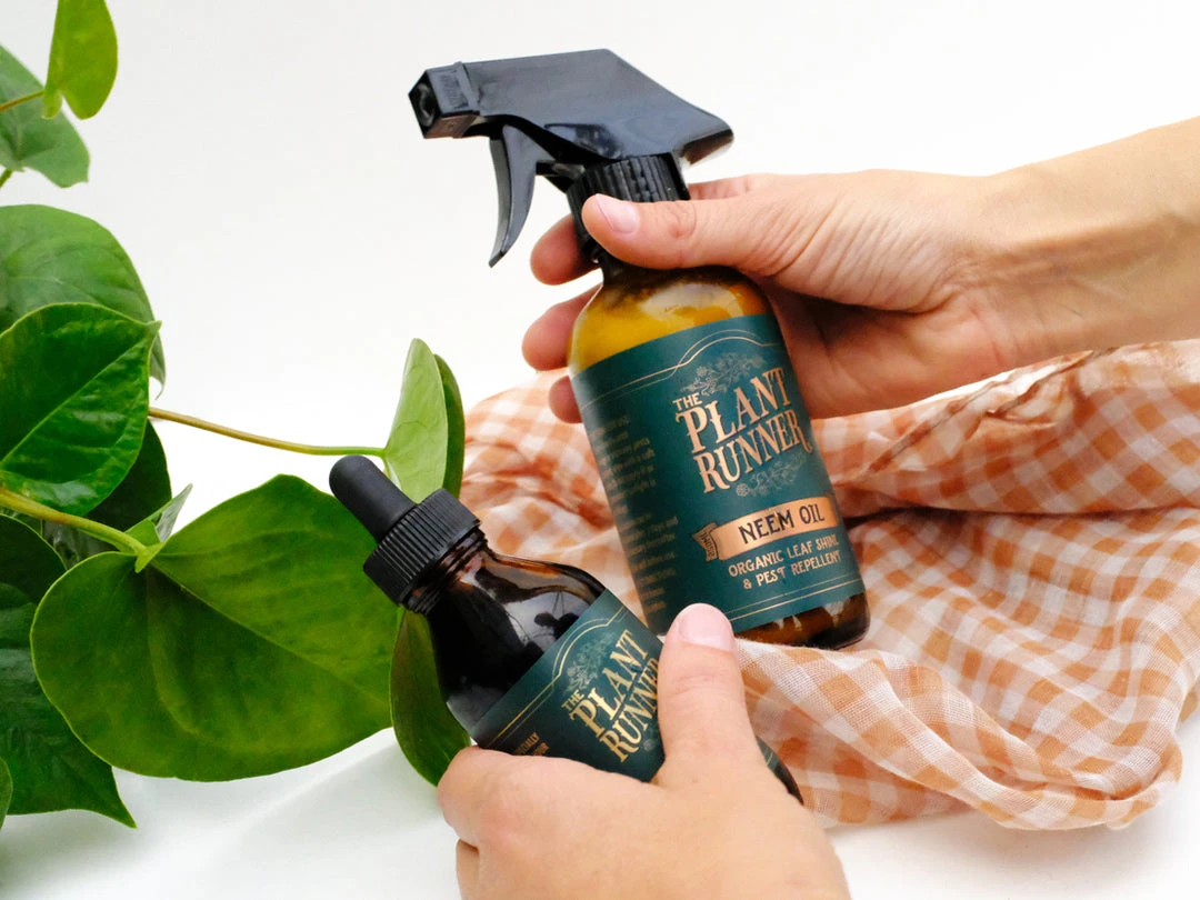 The Plant Runner Indoor Plant Care Pack Birthday 4 The Plant Runner Indoor Plant Care Pack Birthday