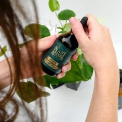 The Plant Runner Indoor Plant Care Pack Birthday 8 The Plant Runner Indoor Plant Care Pack Birthday