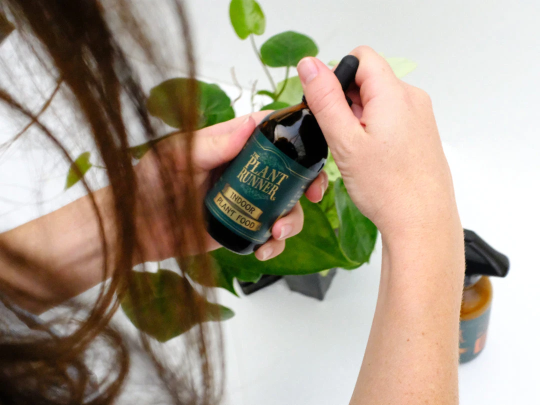 The Plant Runner Indoor Plant Care Pack Birthday 5 The Plant Runner Indoor Plant Care Pack Birthday