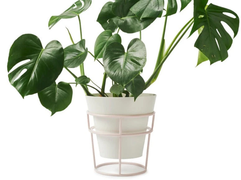 Bendo Plant Stakes & Stands 'POTPLANT' Plant Stand & Large Pot Bundle 4 Bendo Plant Stakes & Stands 'POTPLANT' Plant Stand & Large Pot Bundle