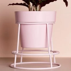 Bendo Plant Stakes & Stands 'POTPLANT' Indoor Plant Stand & Medium Pot Bundle