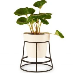 Bendo Plant Stakes & Stands 'POTPLANT' Indoor Plant Stand & Medium Pot Bundle
