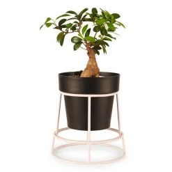 Bendo Plant Stakes & Stands 'POTPLANT' Indoor Plant Stand & Medium Pot Bundle