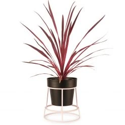Bendo Plant Stakes & Stands 'POTPLANT' Indoor Plant Stand & Medium Pot Bundle