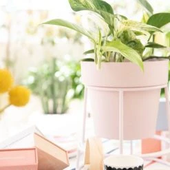 Bendo Plant Stakes & Stands 'POTPLANT' Indoor Plant Stand & Medium Pot Bundle