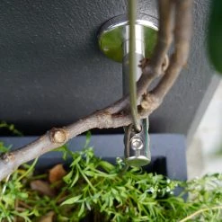 Pro Rig Outdoor Living Stainless Steel Trellis Kit For Climbing Plants