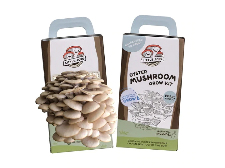 Little Acre Gourmet Mushrooms Gift Kits Pearl Oyster Mushroom Grow Kit 3 Little Acre Gourmet Mushrooms Gift Kits Pearl Oyster Mushroom Grow Kit