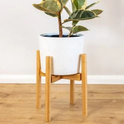 Plants In A Box Climbing Plants Adjustable Bamboo Plant Stand - Natural