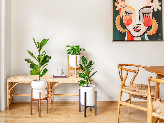 Plants In A Box Adjustable Bamboo Plant Stand - Black 6 Plants In A Box Adjustable Bamboo Plant Stand - Black