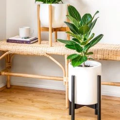 Plants In A Box Adjustable Bamboo Plant Stand - Black