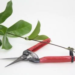 Gifts Long Nose Snips