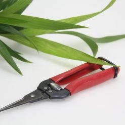 Gifts Long Nose Snips