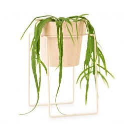 Bendo 'SHRUB' Plant Stand Mini & Small Pot Bundle Pots & Hanging Baskets