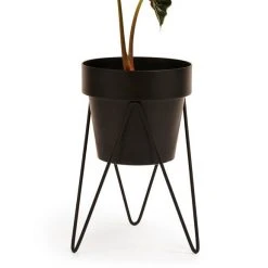 Bendo Pots & Hanging Baskets 'SPROUT' Plant Stand Mini & Small Pot Bundle