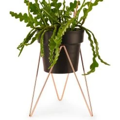 Bendo Pots & Hanging Baskets 'SPROUT' Plant Stand Mini & Small Pot Bundle