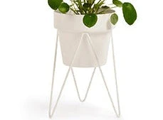 Bendo Pots & Hanging Baskets 'SPROUT' Plant Stand Mini & Small Pot Bundle