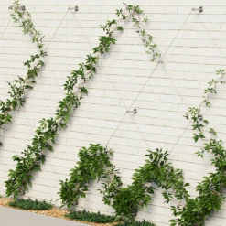 Pro Rig Outdoor Living Stainless Steel Trellis Kit For Climbing Plants