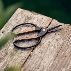 Secateurs Barebones - Small Scissors 17 Secateurs Barebones - Small Scissors