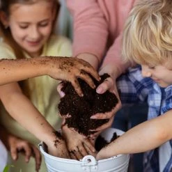Indoor Garden The Teachers Classroom Houseplant Pack 29 Indoor Garden The Teachers Classroom Houseplant Pack