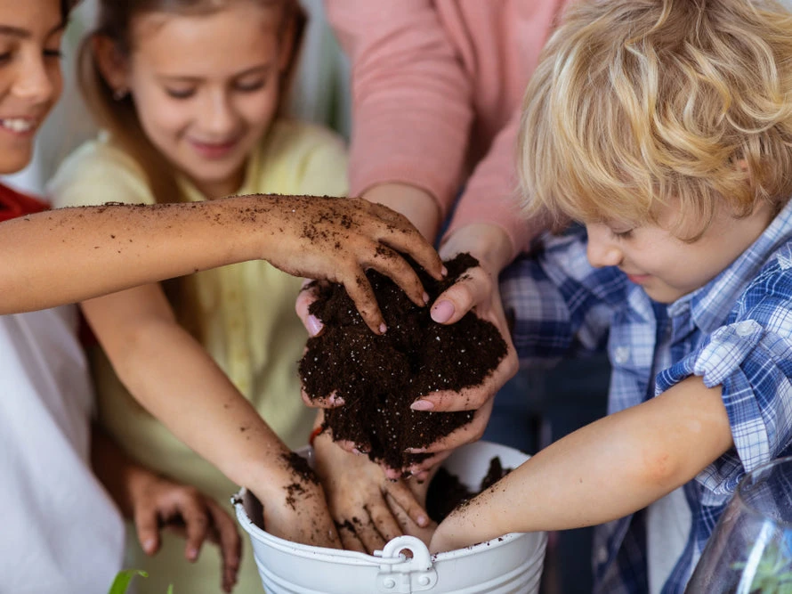 Indoor Garden The Teachers Classroom Houseplant Pack 15 Indoor Garden The Teachers Classroom Houseplant Pack
