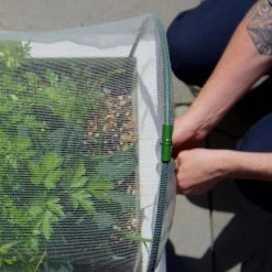 GLOWPEAR PTY LTD Soft Top Outdoor Living