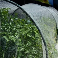 GLOWPEAR PTY LTD Soft Top Outdoor Living