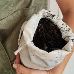 Pot + Plant Gift Box Monstera Deliciosa Tauerii - Pot + Plant + Soil Birthday 33 Pot + Plant Gift Box Monstera Deliciosa Tauerii - Pot + Plant + Soil Birthday