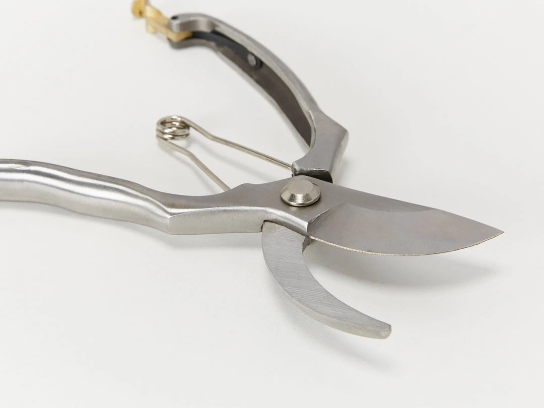 Burgon & Ball Sophie Conran - Stainless Steel Secateurs Outdoor Accessories 6 Burgon & Ball Sophie Conran - Stainless Steel Secateurs Outdoor Accessories