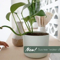 Sustee Houseplant 'when To Water Device' Sustee Watering Device