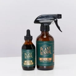 Outlet Plants in a box Store 35 The Plant Runner Indoor Plant Care Pack Birthday