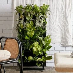 Indoor Garden Gift Kits Greenwall Kit - Includes Plants