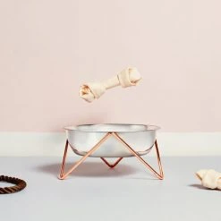 Bendo Best Selling Gifts The WOOF Dog Bowl - MIX 'N MATCH